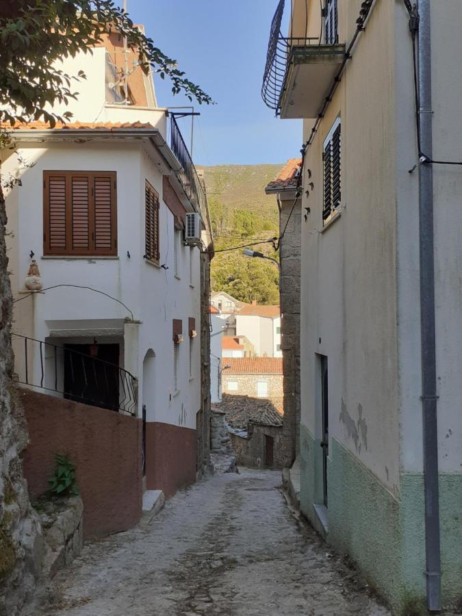 Casa Encantada - Alvoco Da Serra Villa Esterno foto